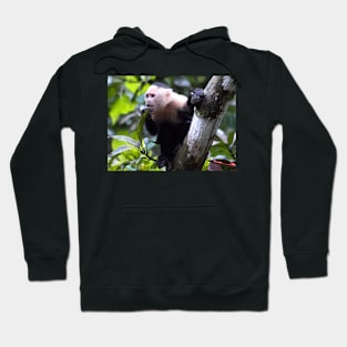 White faced monkey, la Gloria de Puriscal Hoodie